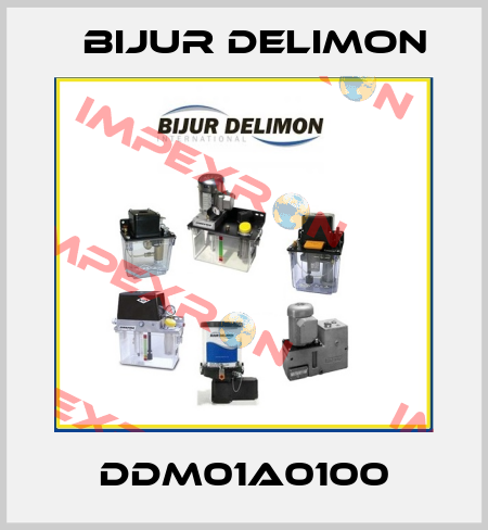 DDM01A0100 Bijur Delimon