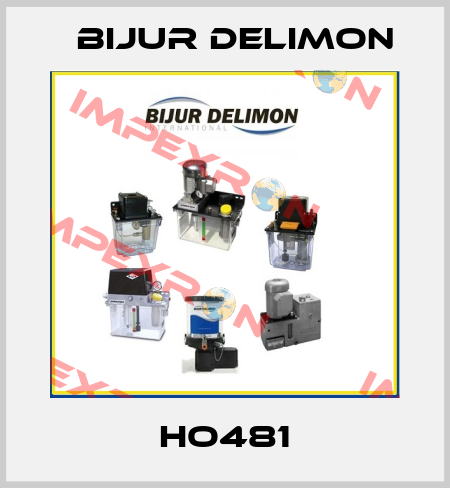HO481 Bijur Delimon