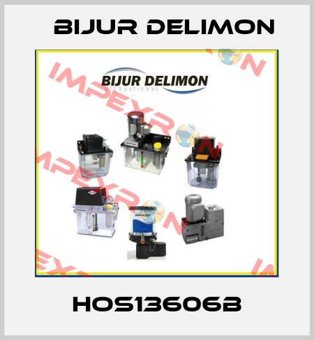 HOS13606B Bijur Delimon