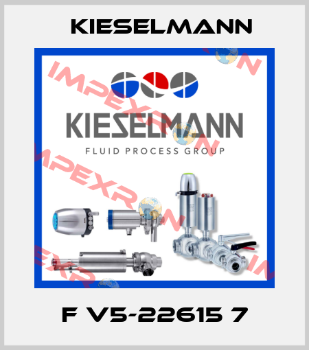 F V5-22615 7 Kieselmann