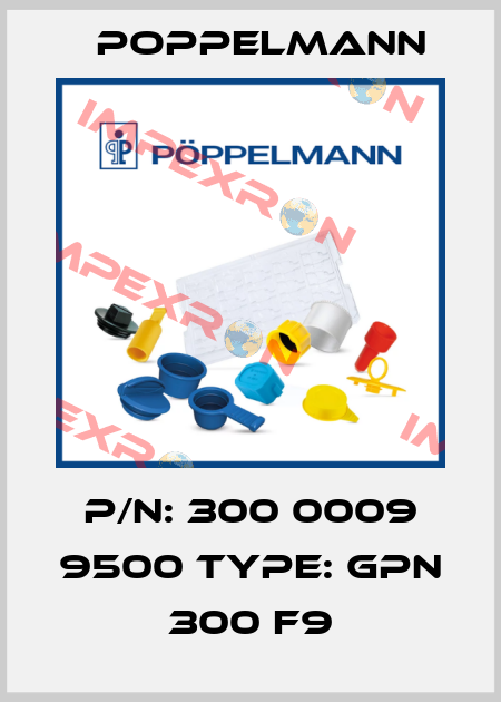 P/N: 300 0009 9500 Type: GPN 300 F9 Poppelmann