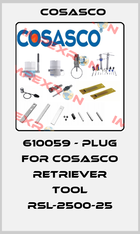 610059 - Plug for Cosasco retriever tool RSL-2500-25 Cosasco