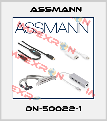 DN-50022-1 Assmann