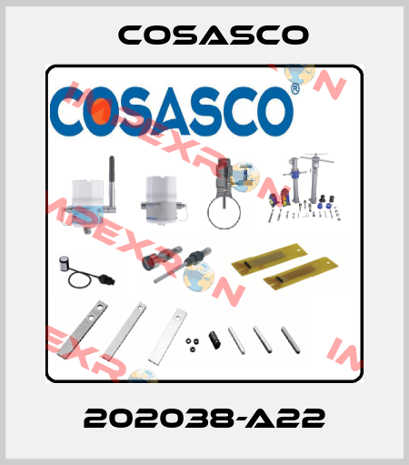 202038-A22 Cosasco