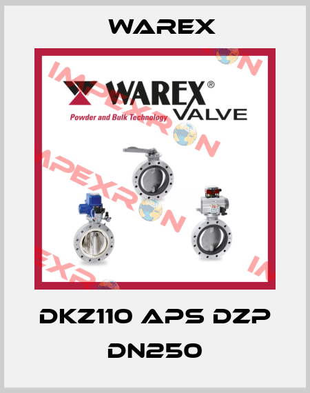 DKZ110 APS DZP DN250 Warex