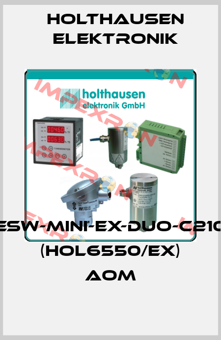 ESW-Mini-Ex-Duo-C210 (HOL6550/EX) AOM HOLTHAUSEN ELEKTRONIK
