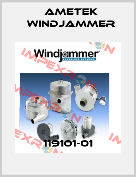 119101-01 Ametek Windjammer
