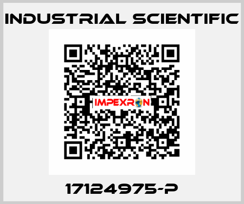 17124975-P Industrial Scientific