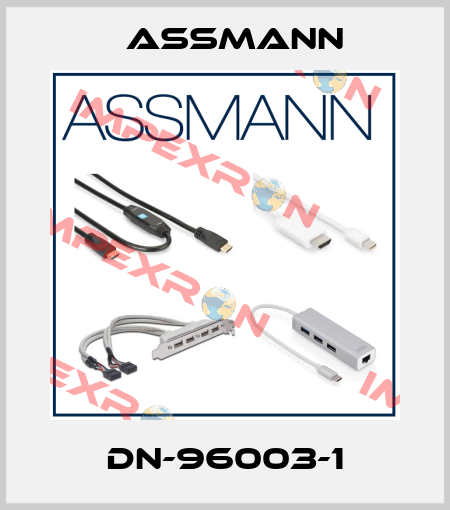 DN-96003-1 Assmann