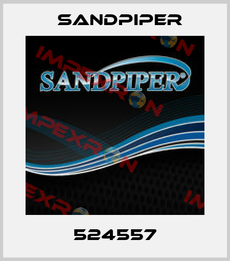 524557 Sandpiper