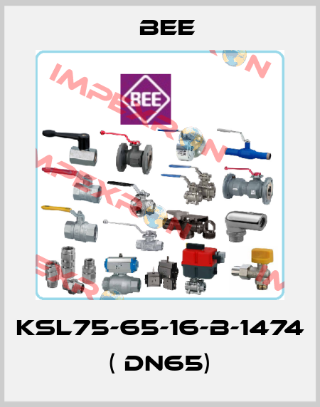 KSL75-65-16-B-1474 ( DN65) BEE