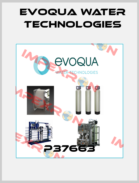 P37663 Evoqua Water Technologies