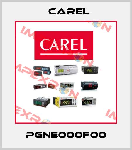 PGNE000F00 Carel