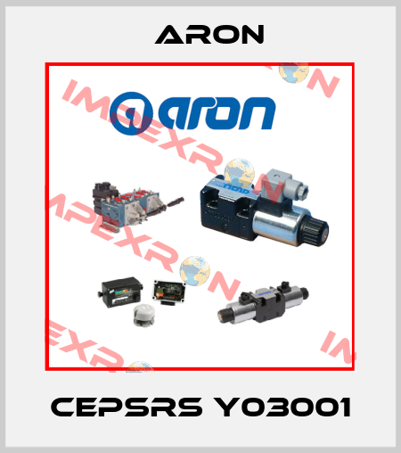 CEPSRS Y03001 Aron