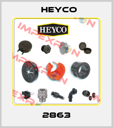 2863 Heyco