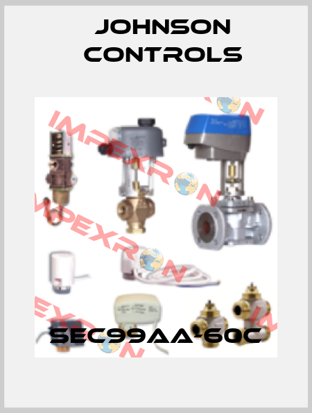 SEC99AA-60C Johnson Controls