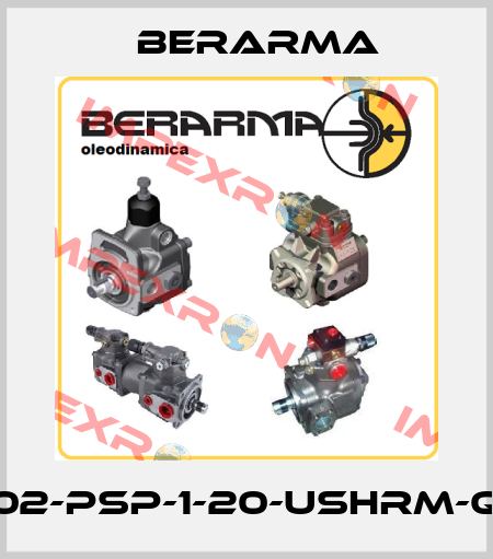 02-PSP-1-20-USHRM-Q Berarma