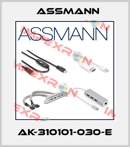 AK-310101-030-E Assmann