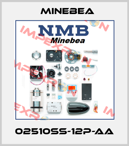 02510SS-12P-AA Minebea