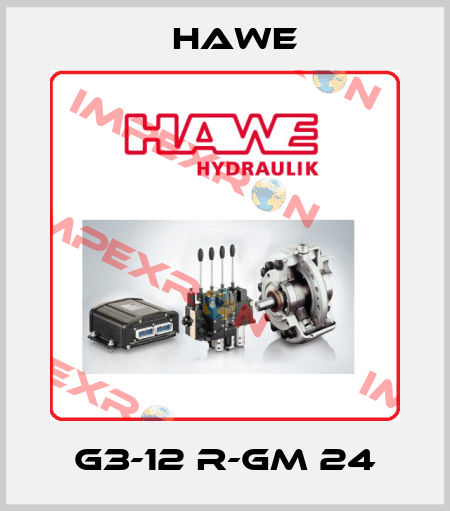 G3-12 R-GM 24 Hawe