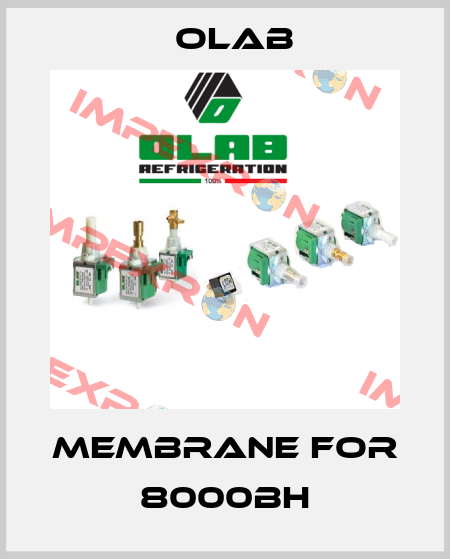 Membrane for 8000BH Olab