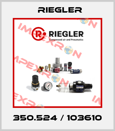 350.524 / 103610 Riegler