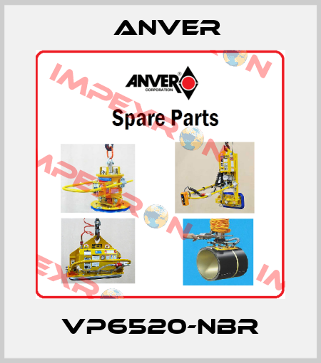VP6520-NBR Anver