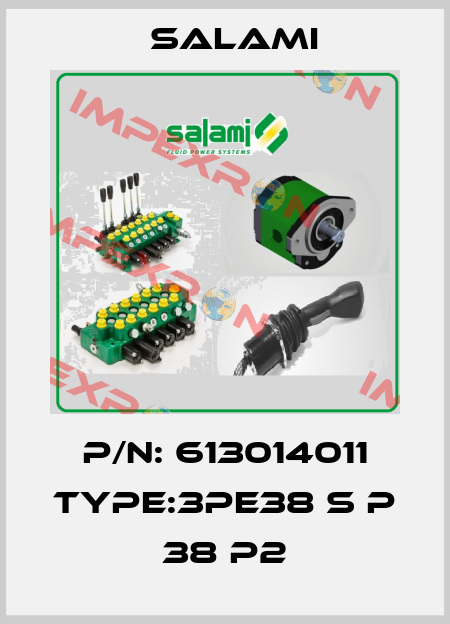 P/N: 613014011 Type:3PE38 S P 38 P2 Salami