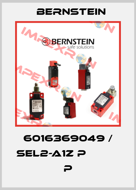 6016369049 / SEL2-A1Z P                   P Bernstein