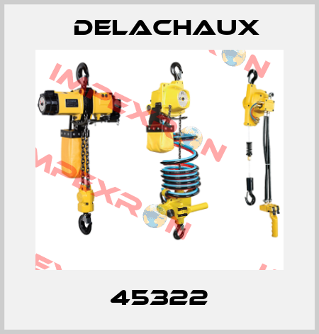 45322 Delachaux
