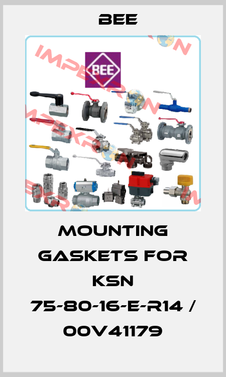 mounting gaskets for KSN 75-80-16-E-R14 / 00V41179 BEE