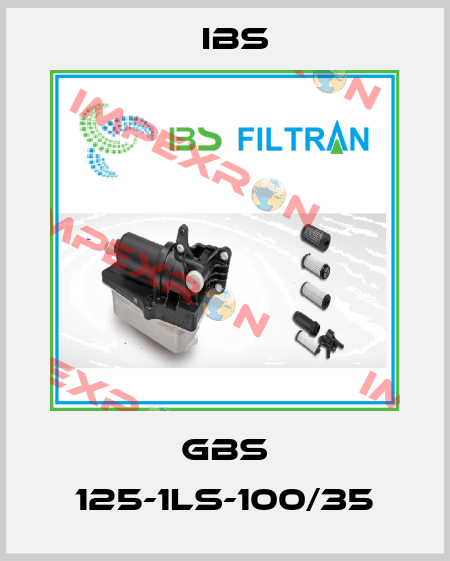 GBS 125-1LS-100/35 Ibs
