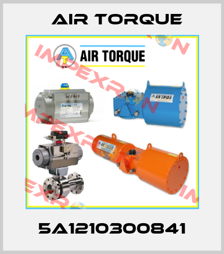 5A1210300841 Air Torque