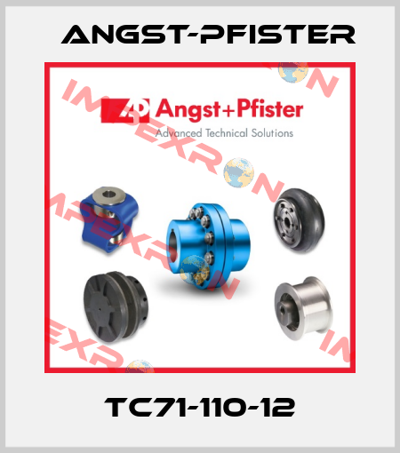 TC71-110-12 Angst-Pfister