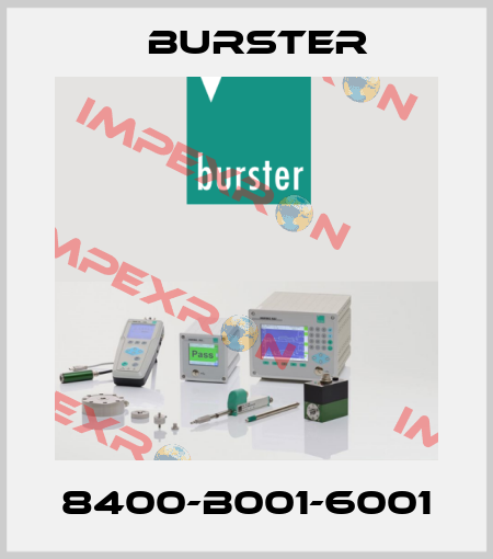 8400-B001-6001 Burster