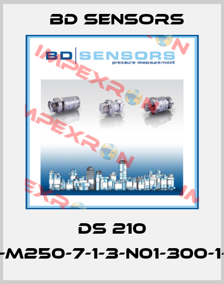DS 210 78A-M250-7-1-3-N01-300-1-000 Bd Sensors