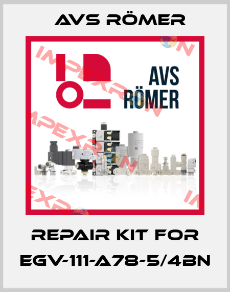 Repair Kit For EGV-111-A78-5/4BN Avs Römer