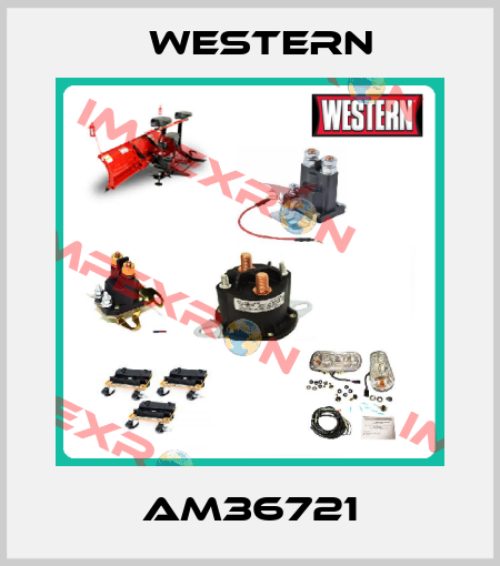 AM36721 Western