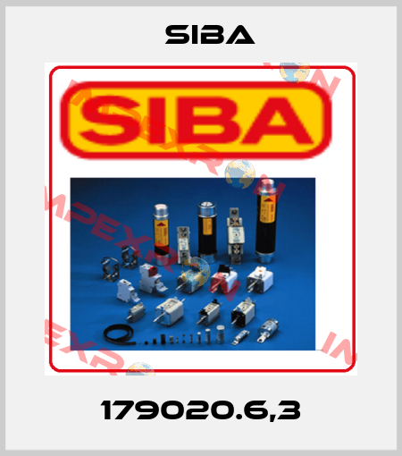 179020.6,3 Siba