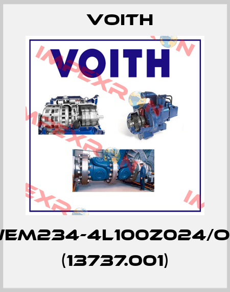 Wem234-4L100Z024/OH (13737.001) Voith