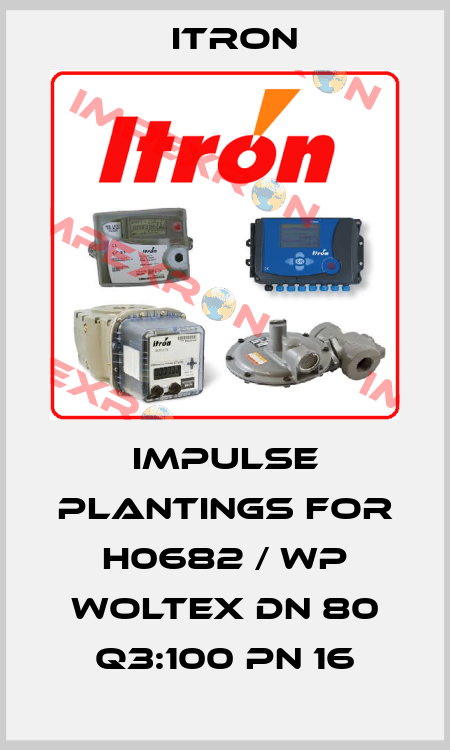 impulse plantings for H0682 / WP Woltex DN 80 Q3:100 PN 16 Itron