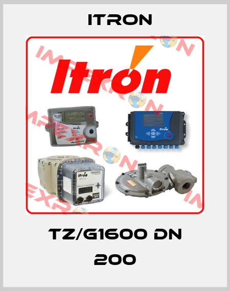 TZ/G1600 DN 200 Itron