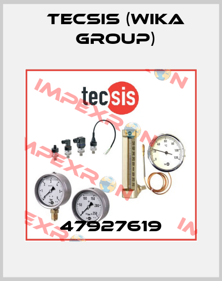 47927619 Tecsis (WIKA Group)