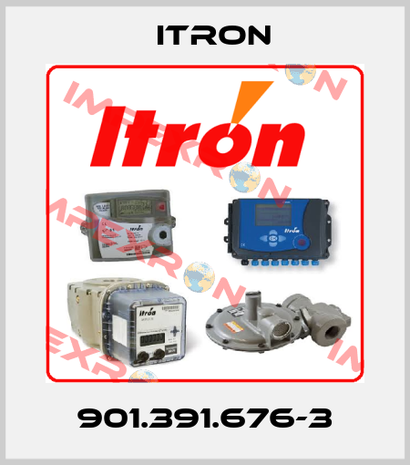 901.391.676-3 Itron