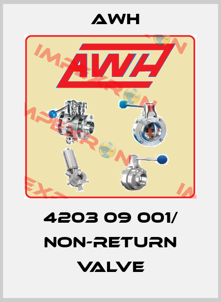 4203 09 001/ Non-return valve Awh