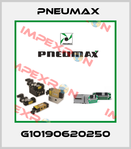 G10190620250 Pneumax