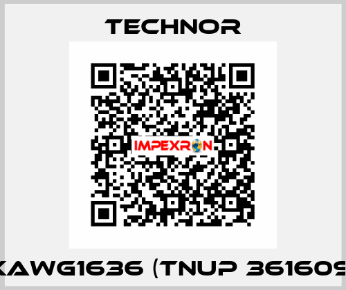 XAWG1636 (TNUP 361609) TECHNOR