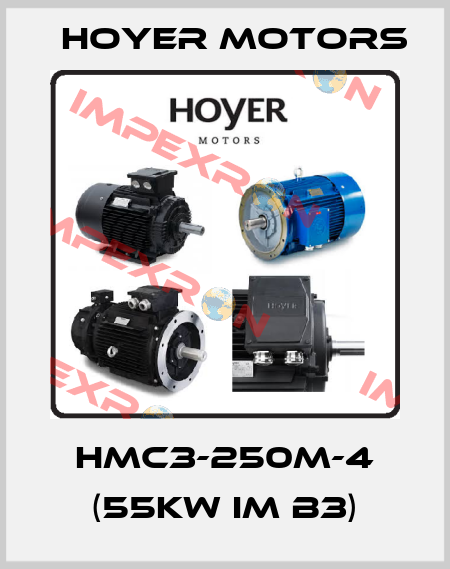 HMC3-250M-4 (55kW IM B3) Hoyer Motors