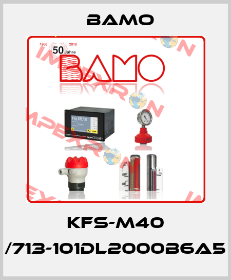 KFS-M40 /713-101DL2000B6A5 Bamo