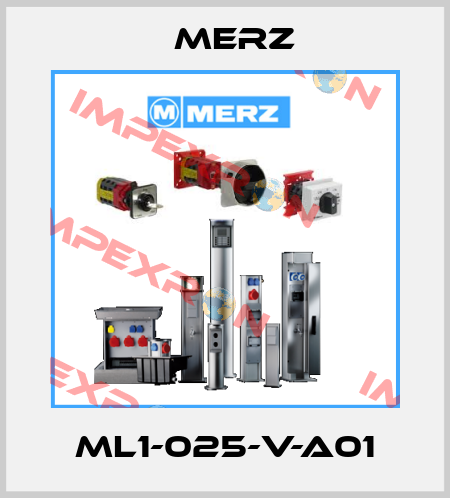 ML1-025-V-A01 Merz